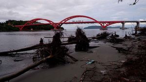 Foto-foto Abrasi Teluk Youtefa Papua