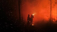 Petugas pemadam kebakaran bekerja melawan kebakaran hutan di Landiras, Prancis barat daya. Tampak suasana merah padam saat hutan terbakar, 16 Juli 2022.  (SDIS 33 via AP Photo)