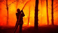 Seorang petugas pemadam kebakaran menyiramkan air ke pohon di kebakaran hutan di La Test-de-Buch, barat daya Prancis, 18 Juli 2022. Ia begitu dengan api yang menyala. (SDIS 33/AP Photo)