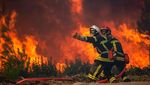 Foto-foto Ini Merekam Aksi Luar Biasa Para Pemadam Kebakaran Hutan
