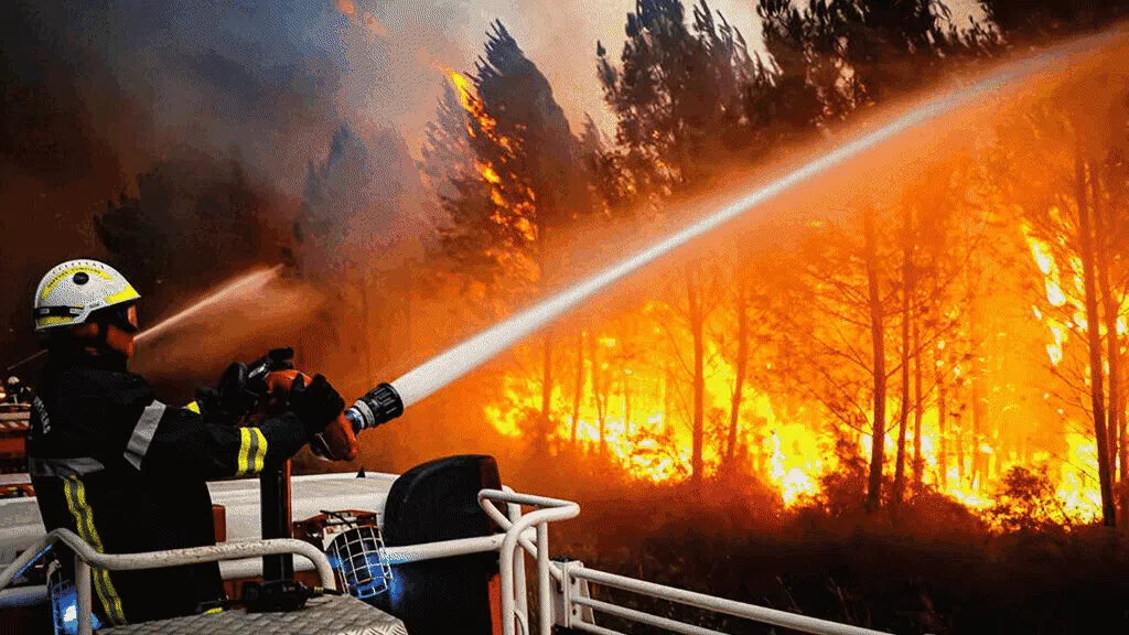 Foto-foto Ini Merekam Aksi Luar Biasa Para Pemadam Kebakaran Hutan