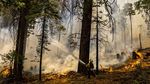 Foto-foto Ini Merekam Aksi Luar Biasa Para Pemadam Kebakaran Hutan