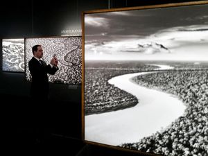 Wow, Fotografer Salgado Pamerkan Foto Langka Hutan Amazon