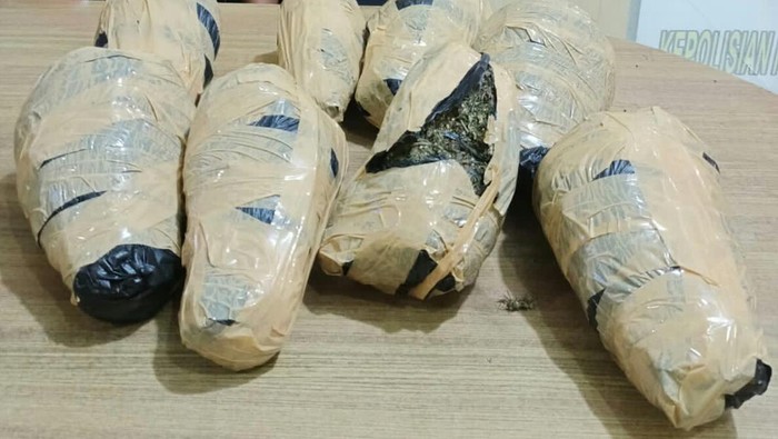 Barang bukti ganja yang disita. Istimewa
