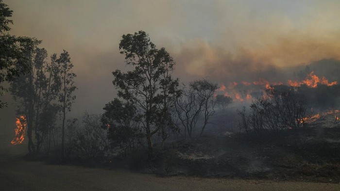 A firefighter pulls a hose as the fire burns near a house at Mount Penteli, northeast of Athens, Tuesday, July 19, 2022. Fire Service officials said nine firefighting aircraft and four helicopters were deployed to try and stop the flames reaching inhabited areas on the slopes of Mount Penteli, some 25 kilometers (16 miles) northeast of the Athens. (AP Photo/Thanassis Stavrakis)