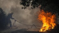 Petugas Kesulitan Atasi Kebakaran Hutan di Yunani Akibat Angin Kencang
