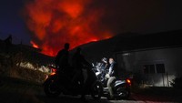 Lebih dari 1.300 kilometer persegi tanah rusak akibat kebakaran hutan di Yunani tahun lalu. Angka tersebut merupakan kerusakan terburuk sejak 2007.