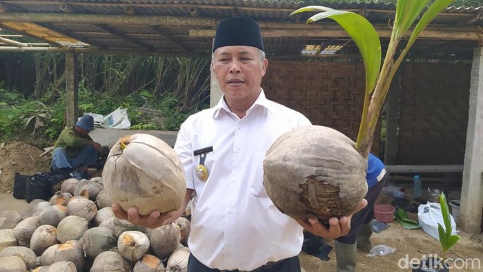 Kelapa upat-upat di Desa Banyuadem, Magelang, Rabu (20/7/2022).