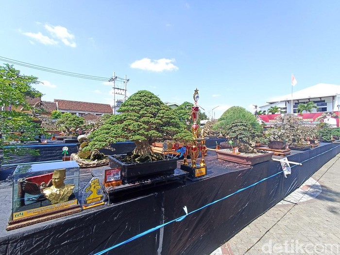 Kontes bonsai nasional di Kota Blitar