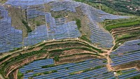 Diketahui China menjadi salah satu negara yang mengembangkan sumber energi baru terbarukan menjadi energi utama pengganti batu bara.