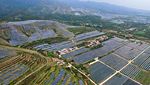 Penampakan Ladang Panel Surya yang Selimuti Pegunungan di China