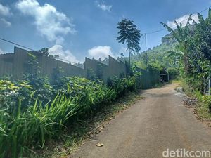 BBKSDA Jabar: Masih Ada Populasi Macan di Gunung Masigit Kareumbi