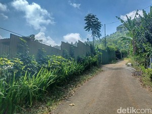 Macan Kumbang di Cicalengka Bandung Sudah Memangsa 22 Ayam
