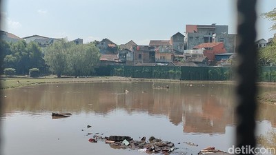 Potret Kolam Raksasa Kandang Arapaima yang Lepas di Garut