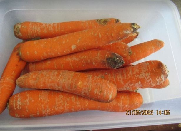 Restoan milik chef selebriti ini ternyata punya kebersihan makanan nol
