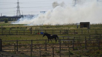 Banyak dampak buruk timbul. Beberapa rel kereta api rusak karena terpapar suhu yang sangat tinggi sehingga perjalanan terganggu. Pemadam kebakaran pun berjuang memadamkan si jago merah yang menyala di beberaoa tempat.  Foto: Associated Press