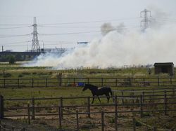 Potret Warga Inggris Tersiksa Suhu Ekstrem 40 Derajat Celcius