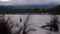 Setiap tahun, Teluk Youtefa mengalami abrasi khususnya di wilayah Jayapura Selatan. Abrasi mencapai 1,24 meter per tahun dan Abepura 0,86 meter per tahun. (Sakti Karuru /AntaraFoto) 