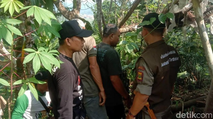 Tim gabungan mengecek lokasi penampakan harimau di Perbukitan Pasir Kantong, Cicantayan,  Sukabumi