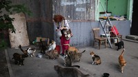 Wanita berusia 68 tahun itu menjadi satu-satunya warga Kharkiv yang rela tinggal di kawasan rumahnya untuk merawat kucing.