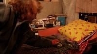 Perhatiannya kini hanya untuk kucing-kucing yang dirawatnya. 