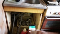 Tak hanya kucing dewasa, bayi-bayi kucing yang ia temukan di jalan pun dibawa pulang olehnya.