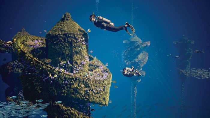 Wonder Reef.Rumah bagi ratusan spesies laut yang beragam, termasuk lobster, gurita, ikan troopis, penyu,hingga kerapu raksasa.