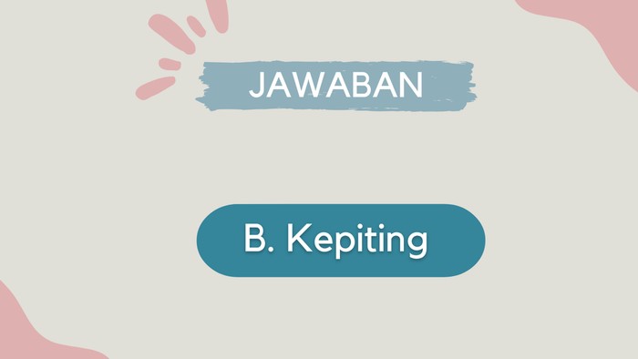 Tes Buta Warna Soal Hewan, Bisa Jawab Semua Nggak Nih?