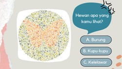 Soal tes buta warna berikut menggunakan soal hewan, yakin kamu bisa menjawabnya?
