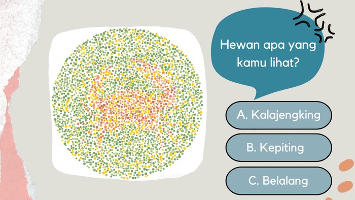 Tes Buta Warna Soal Hewan, Bisa Jawab Semua Nggak Nih?