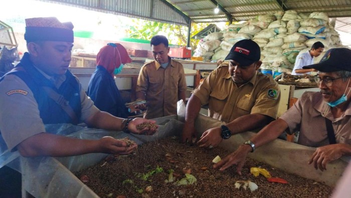 Budidaya Maggot di Banyuwangi
