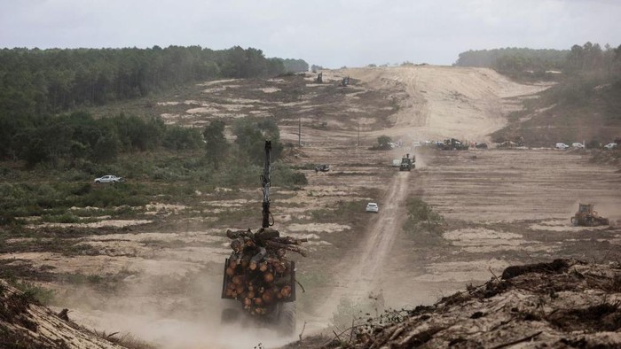 Cegah Kebakaran Meluas, Hutan di Prancis Dipangkas A lumberjack from a private company participates in creating a barrier of more than 5km long and 300 meters wide between Gironde department and Landes department to prevent the fire of La Teste-de-Buch from spreading, on July 20, 2022. - Firefighters battling twin fires in southwest France said on July 20, 2022 the blazes were being brought under control thanks to improved weather conditions, but had not been stopped completely. (Photo by Thibaud MORITZ / AFP) (Photo by THIBAUD MORITZ/AFP via Getty Images)