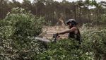 Cegah Kebakaran Meluas, Hutan di Prancis Dibabat, Ini Fotonya