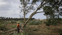 Beberapa lokasi di Prancis mengalami kebakaran akibat gelombang panas. Tak hanya penebang kayu, pekerja konstruksi juga dikerahkan untuk membuat pembatas tersebut.