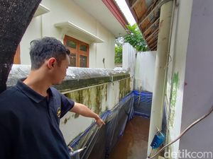 Jerit Pembudi Daya Ikan di Kulon Progo Imbas Harga Pakan Terus Naik