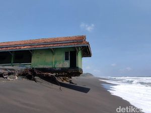 Tak Kunjung Direlokasi, Penangkaran Penyu Pantai Trisik Terancam Abrasi