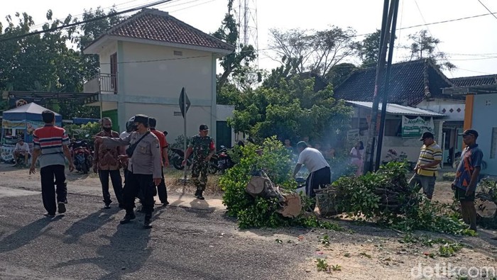 Lokasi pohon tumbang menimpa pengendara sepeda motor hingga pingsan di Magetan