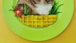 Lucu Menggemaskan, 10 Hewan Ini Dibuat Dari Aneka Makanan