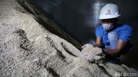 Pegawai Bulog memeriksa gabah di dalam penampungan mesin silo di penggilingan padi/gabah modern atau Modern Rice Milling Plant (MRMP) di Kendal, Jawa Tengah, Kamis (21/7/2022).