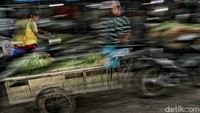 Selain memenuhi keutuhan warga Bekasi, sayuran ini dijual hingga ke Jakarta.