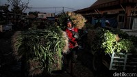 Sejumlah komoditas diperjualbelikan di sini seperti kangkung, bayam, daun kemangi dan singkong.Harga sayuran mulai dari Rp 2.000 saja untuk 20 ikat sayuran.