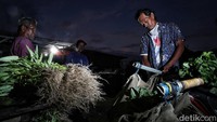 Pasar sayuran masih dicari pembeli untuk konsumsi sehari-hari.