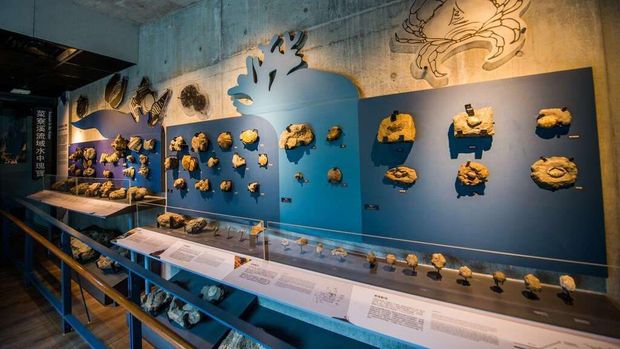 Salah satu museum di Taiwan, Tainan City Zuojhen Fossil Park.