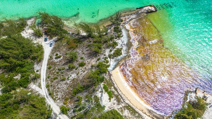 Penampakan Tumpahan Bahan Bakar Cemari Pantai di Bahama Some of the 30,000 gallons of fuel spilled by a vessel named The Arabian is caught on the shore of Great Exuma near Old Navy Base in George Town, Bahamas July 20, 2022. REUTERS/Reno Curling