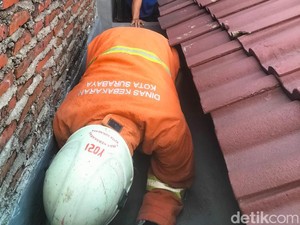Cerita Petugas Damkar Surabaya Selamatkan Anak Kucing Terjebak Dalam Pipa