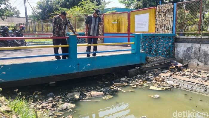 Ratusan ikan mamti di Lamongan