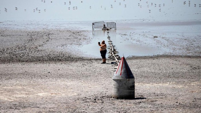 Dead fish are pictured at the Zicksee lake in St. Andrae am Zicksee in Burgenland, Austria on July 20, 2022. - Ongoing heat led to draining of the lake. Hundreds of fish died in the dried out lake. (Photo by Alex HALADA / AFP) (Photo by ALEX HALADA/AFP via Getty Images)