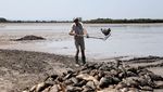 Ikan-ikan di Danau Ini Mati Akibat Gelombang Panas Eropa, Nih Fotonya
