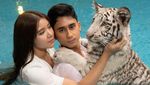 Foto Tiara Andini dan Harimau Milik Alshad Ahmad yang Bikin Fans Kecewa