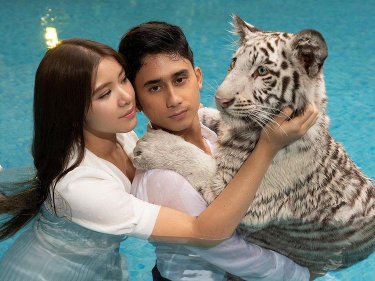 Foto Tiara Andini dan Harimau Milik Alshad Ahmad yang Bikin Fans Kecewa